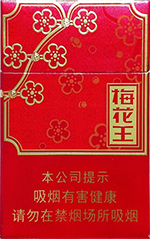 大华（软盛世）